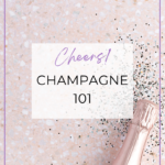 Champagne 101